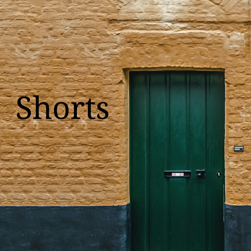 Women's shorts